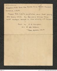 Nachlass Franz Steindachner, Notiz von Ethel A. Hopper, Inv.Nr. 237.02, Seite 1